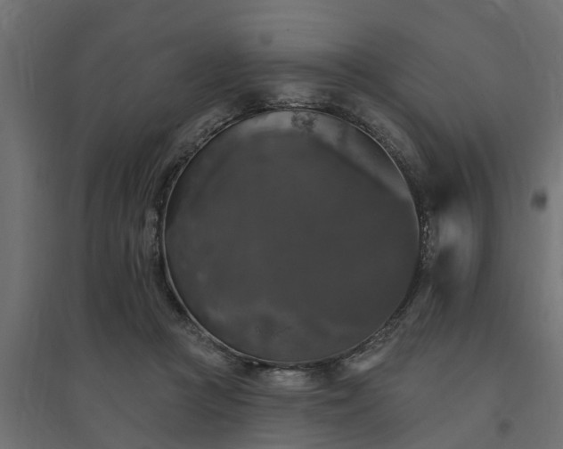 X0000094790361200711241407