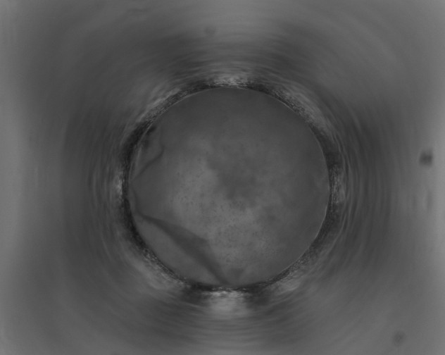 X0000094790363200711241407