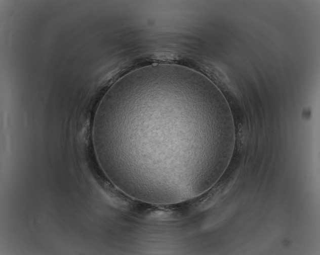 X0000094790364200711241407