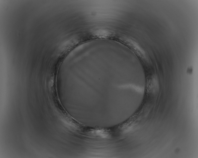 X0000094790365200711241407