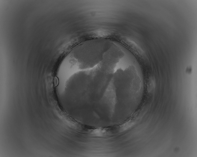 X0000094790366200711241407