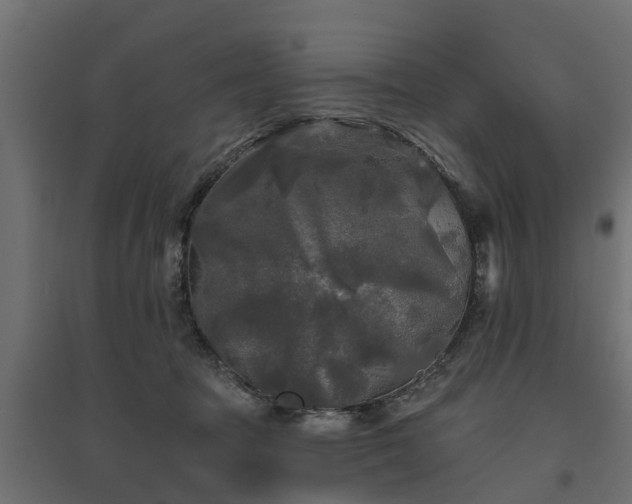 X0000094790369200711241407