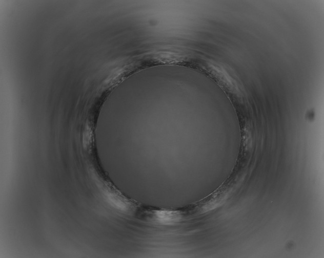 X0000094790371200711241407