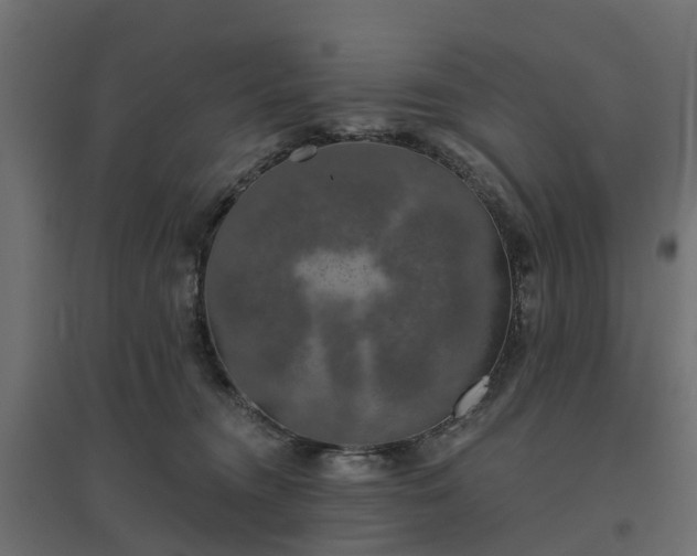 X0000094790372200711241407