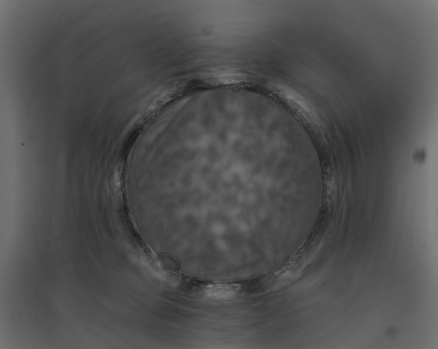 X0000094790373200711241407