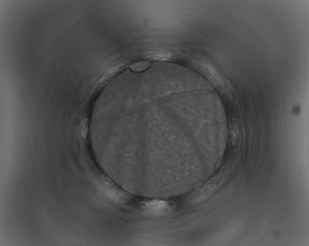 X0000094790374200711241407