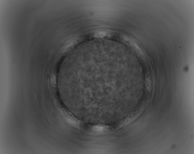 X0000094790375200711241407