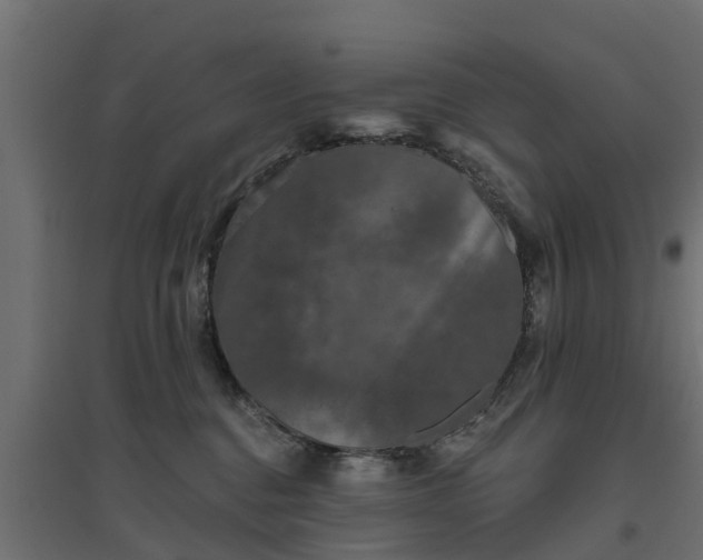 X0000094790376200711241407