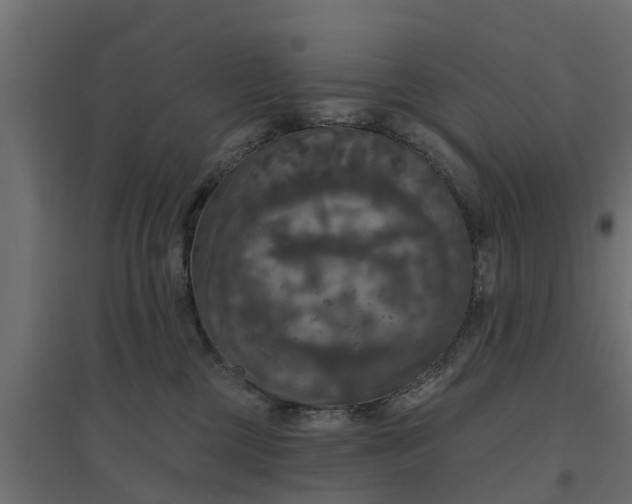 X0000094790377200711241407