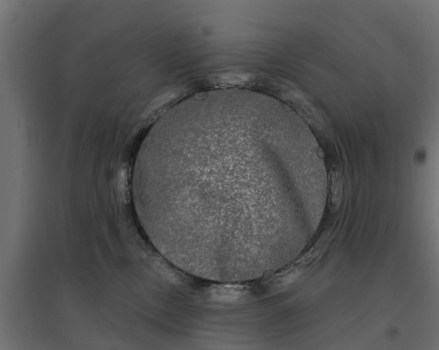 X0000094790378200711241407