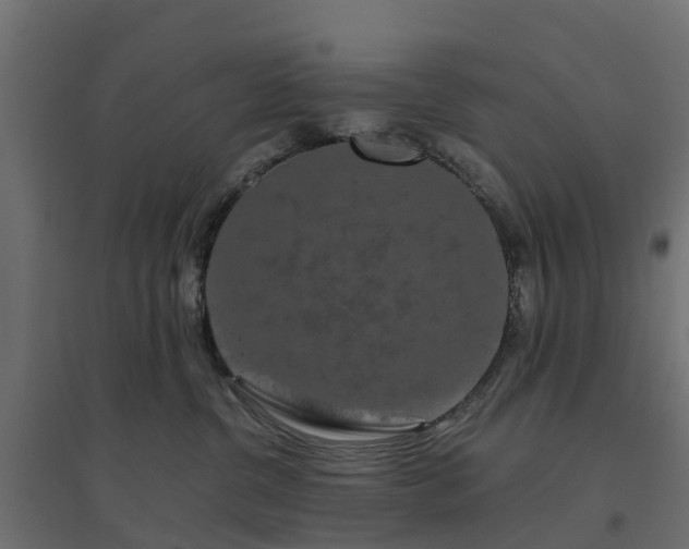 X0000094790380200711241407