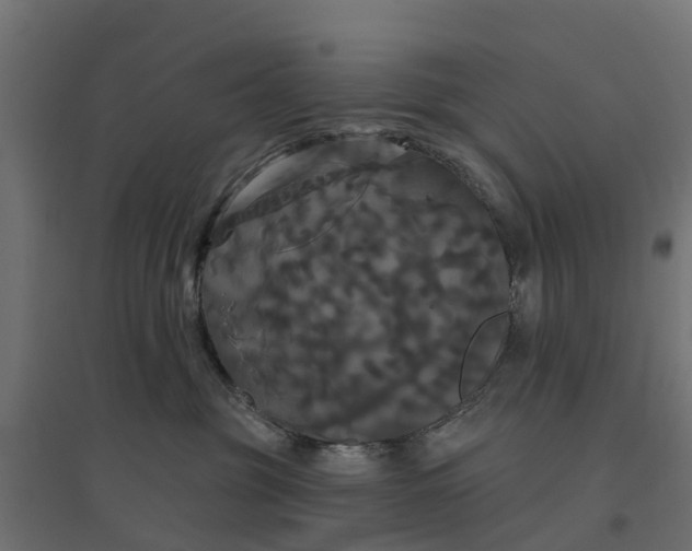 X0000094790381200711241407