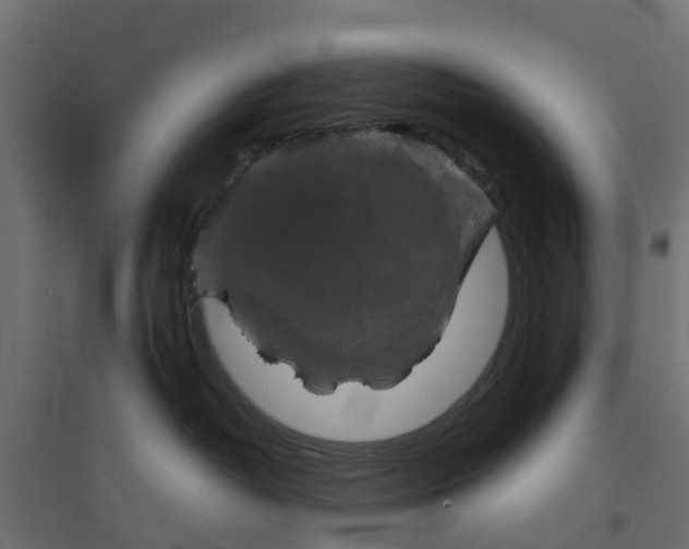 X0000094790382200711241407