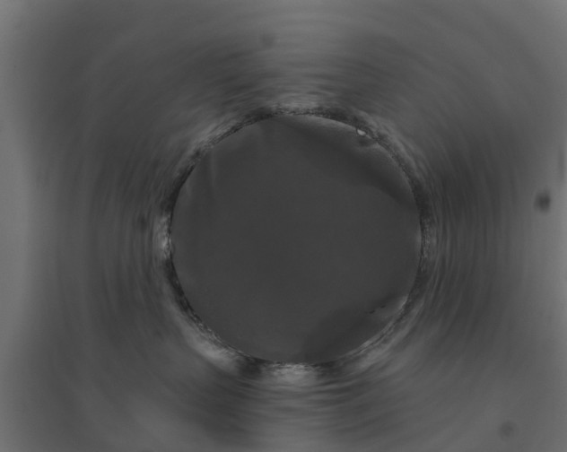 X0000094790383200711241407