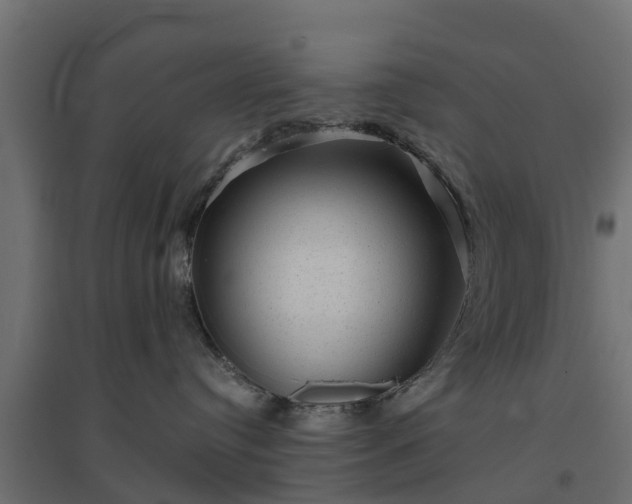 X0000094790384200711241407