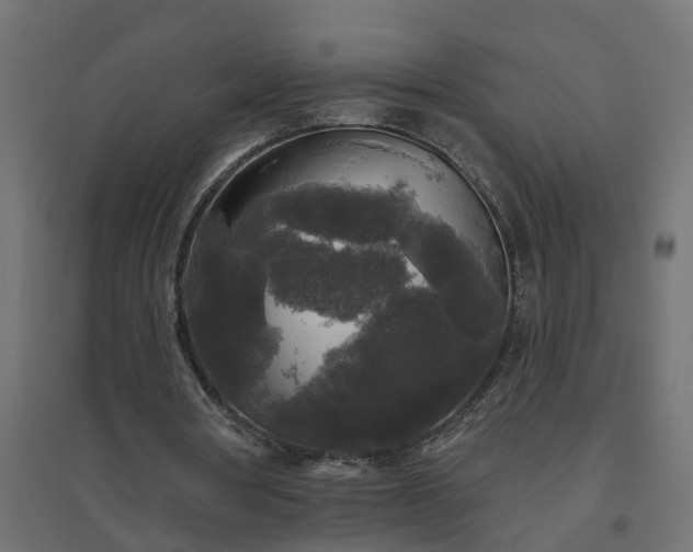 X0000094790386200711241406