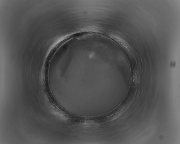 X0000094790388200711241406