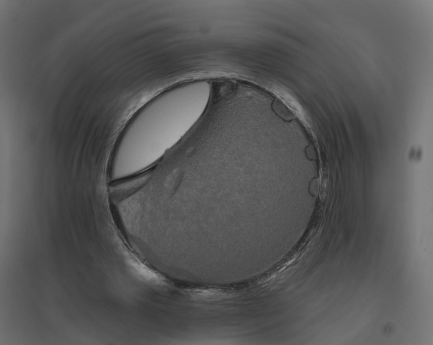 X0000094790389200711241406