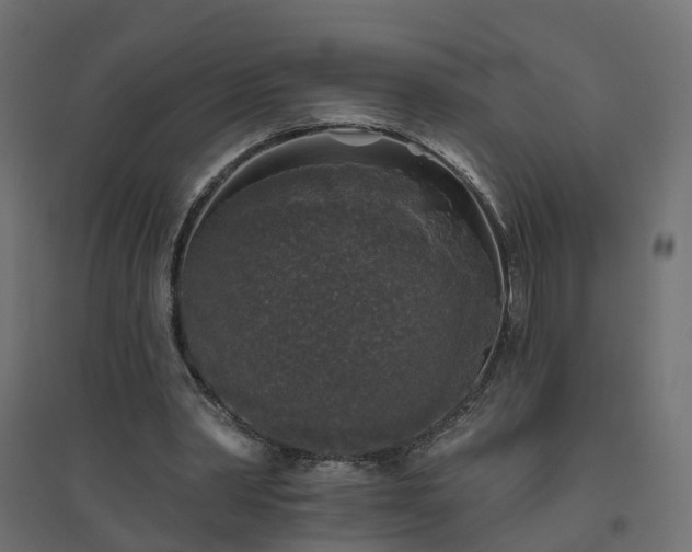 X0000094790390200711241406