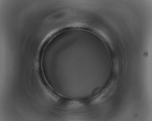 X0000094790392200711241406