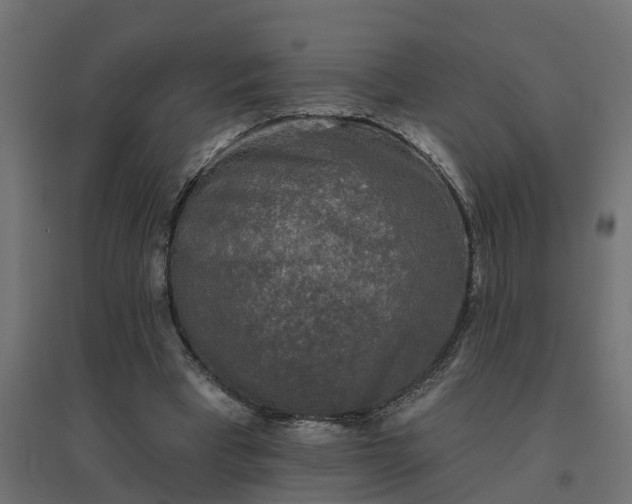 X0000094790393200711241406