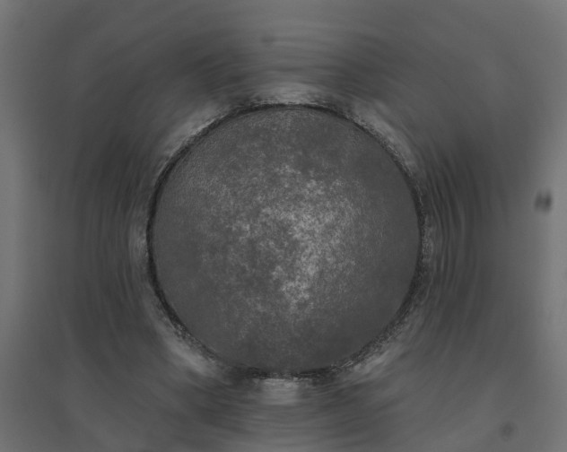 X0000094790394200711241406