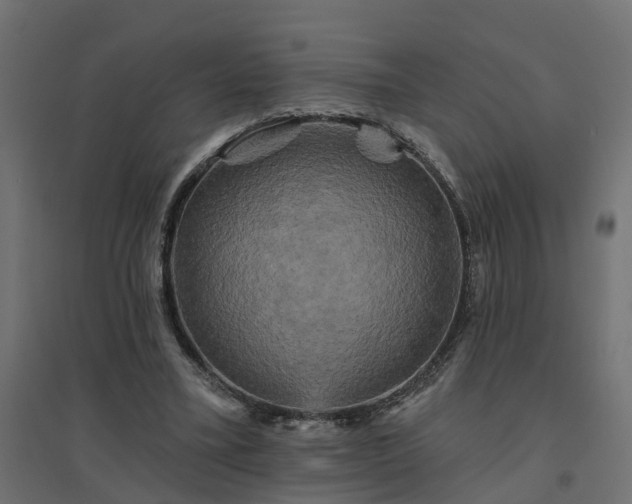 X0000094790395200711241406