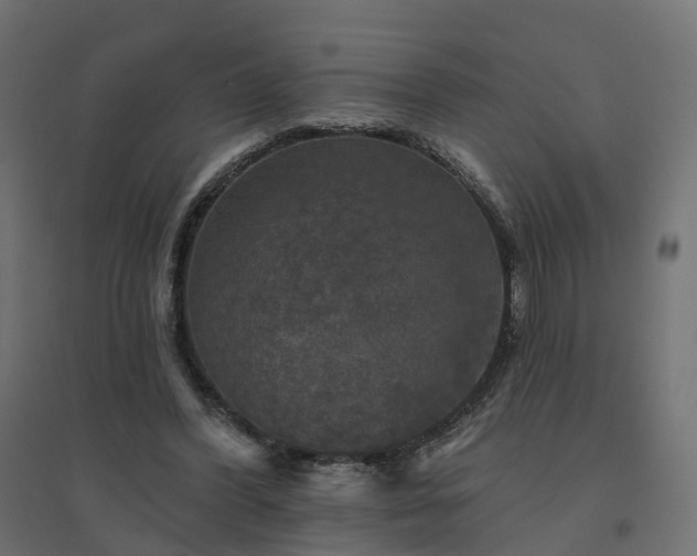 X0000094790396200711241406