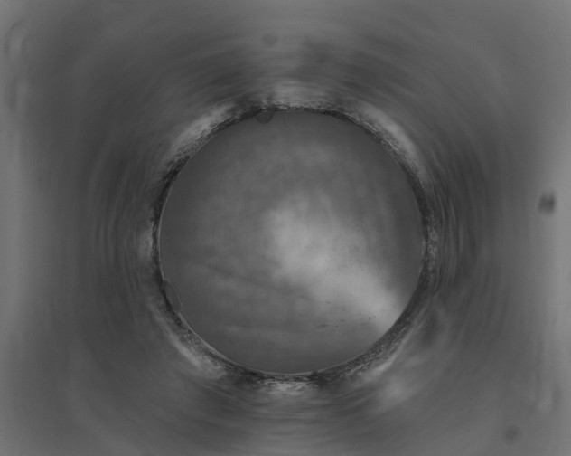 X0000094790401200711241406