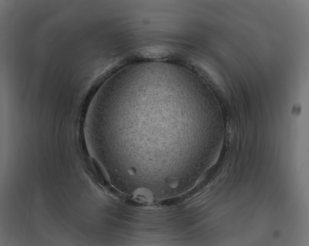 X0000094790404200711241406