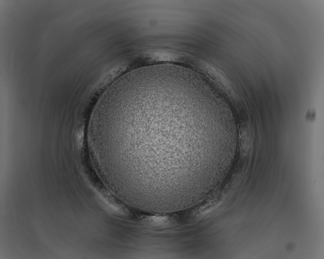 X0000094790406200711241406