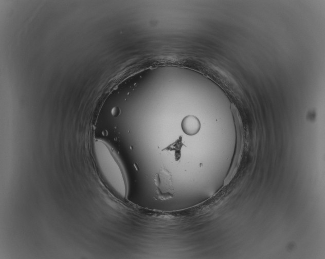 X0000094790409200711241406