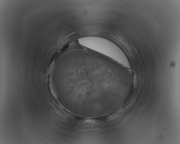 X0000094790413200711241406