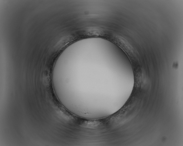 X0000094790414200711241406