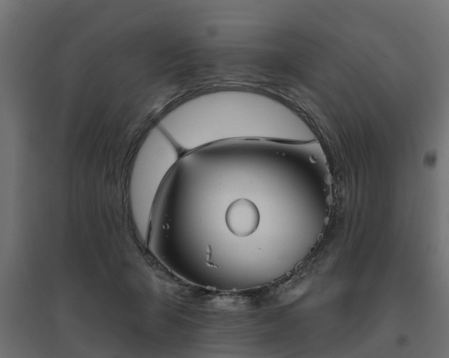 X0000094790415200711241406