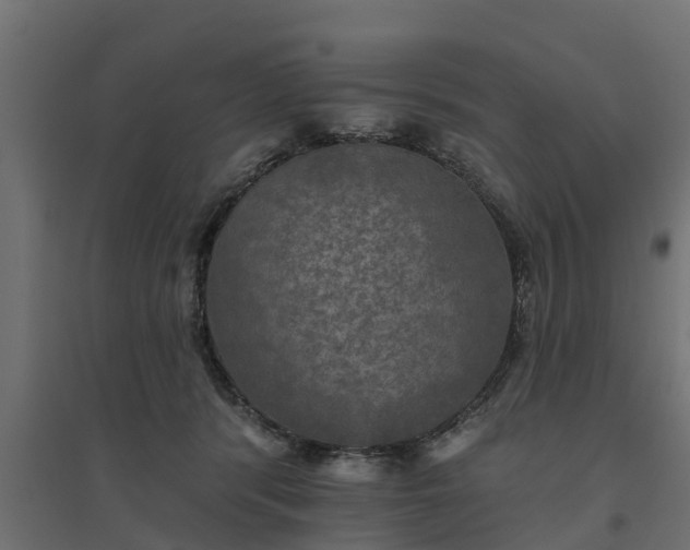 X0000094790416200711241406