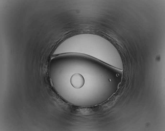 X0000094790417200711241406