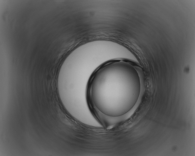 X0000094790419200711241406