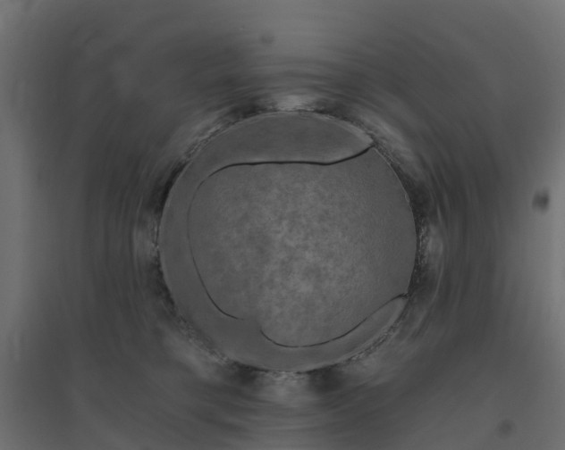 X0000094790421200711241406