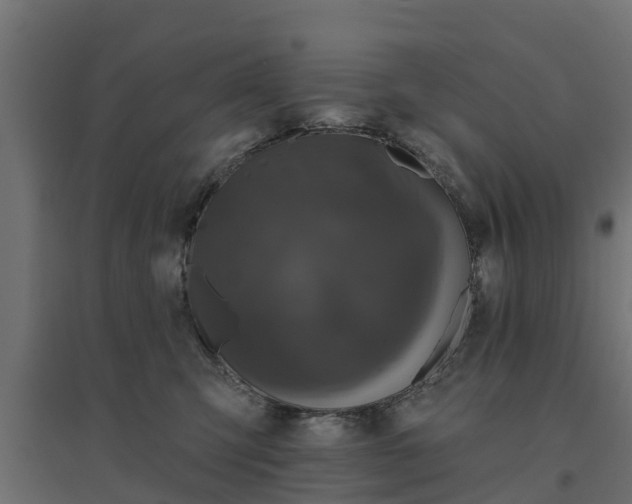 X0000094790423200711241406