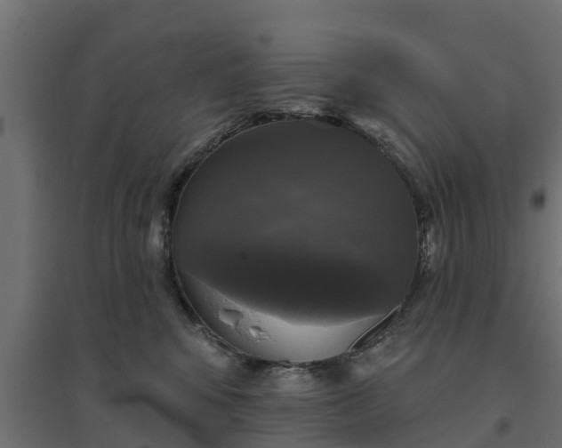 X0000094790424200711241406