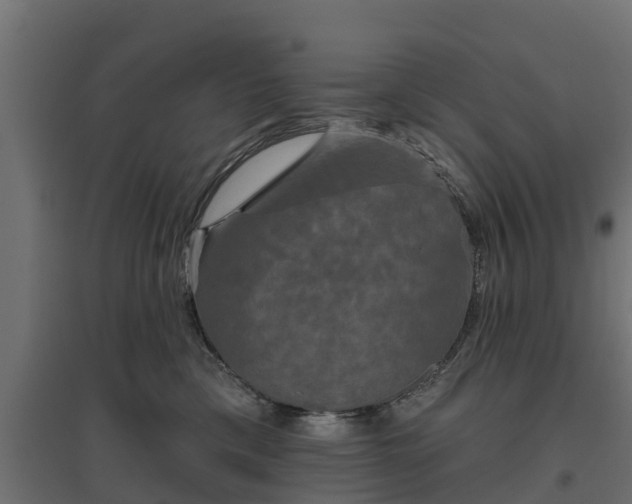 X0000094790425200711241406