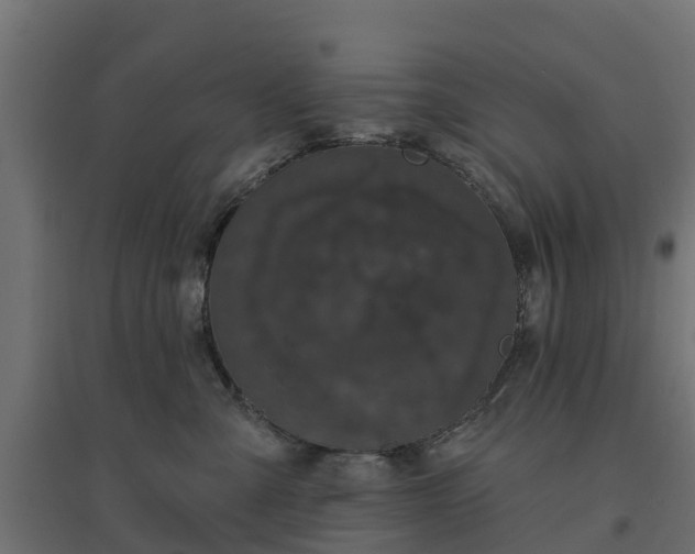 X0000094790427200711241406