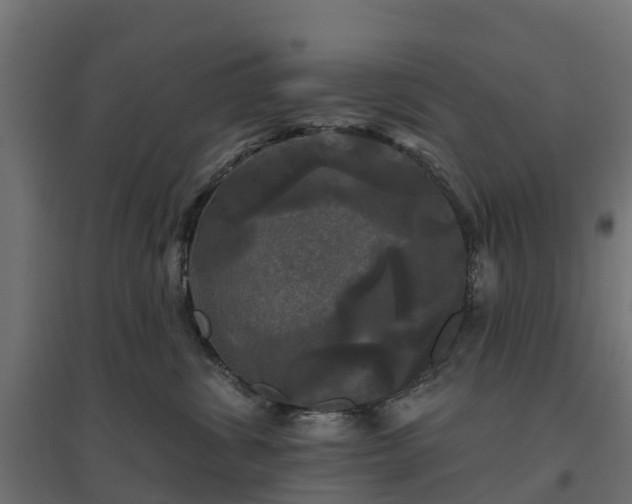 X0000094790428200711241406