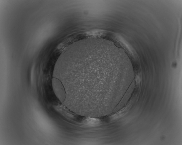 X0000094790429200711241406