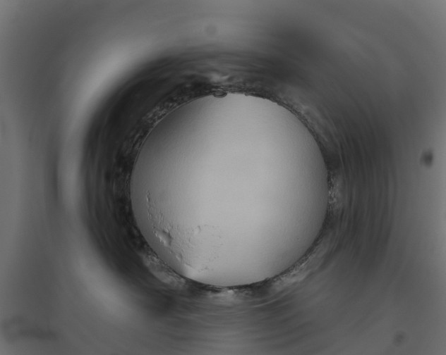 X0000094790430200711241406