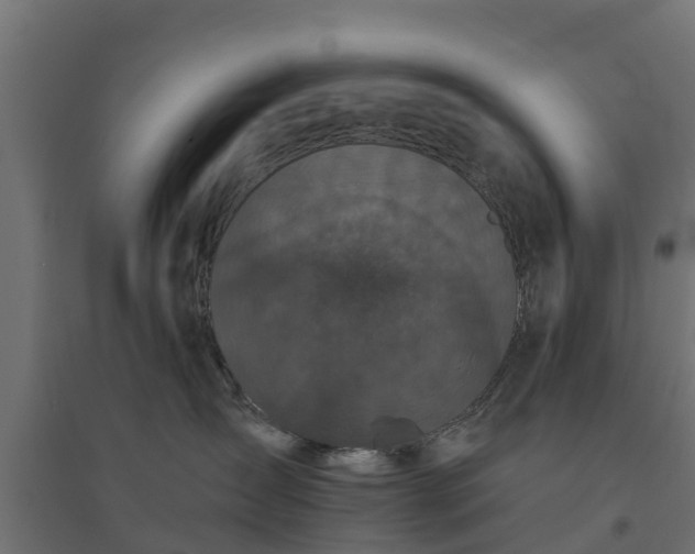 X0000094790431200711241406