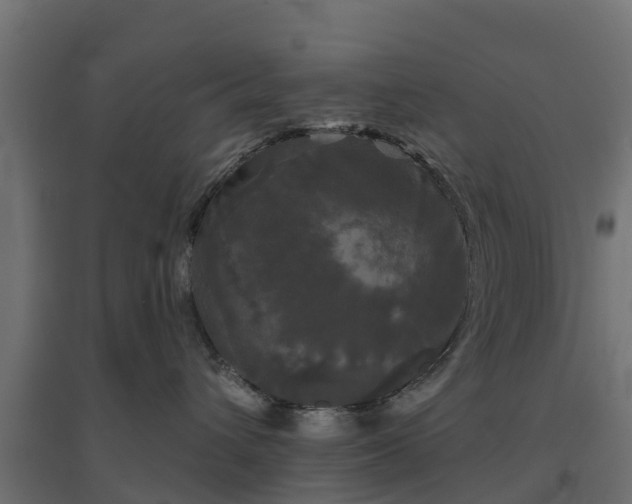 X0000094790432200711241406