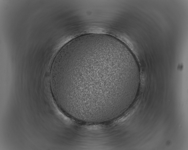 X0000094790433200711241405