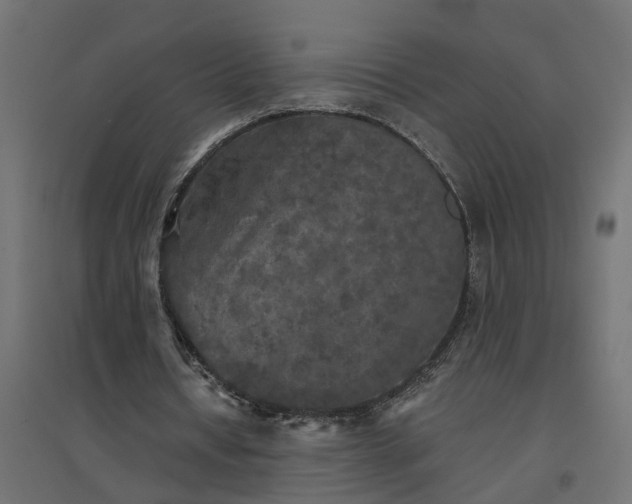 X0000094790434200711241405